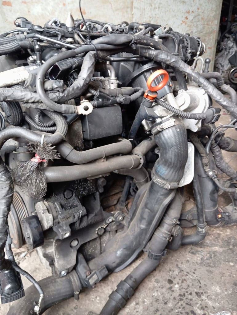 Двигун комплектний  skoda audi a3 8p рестайлінг  2008-2013 1.6 tdi cay cayc Доставка