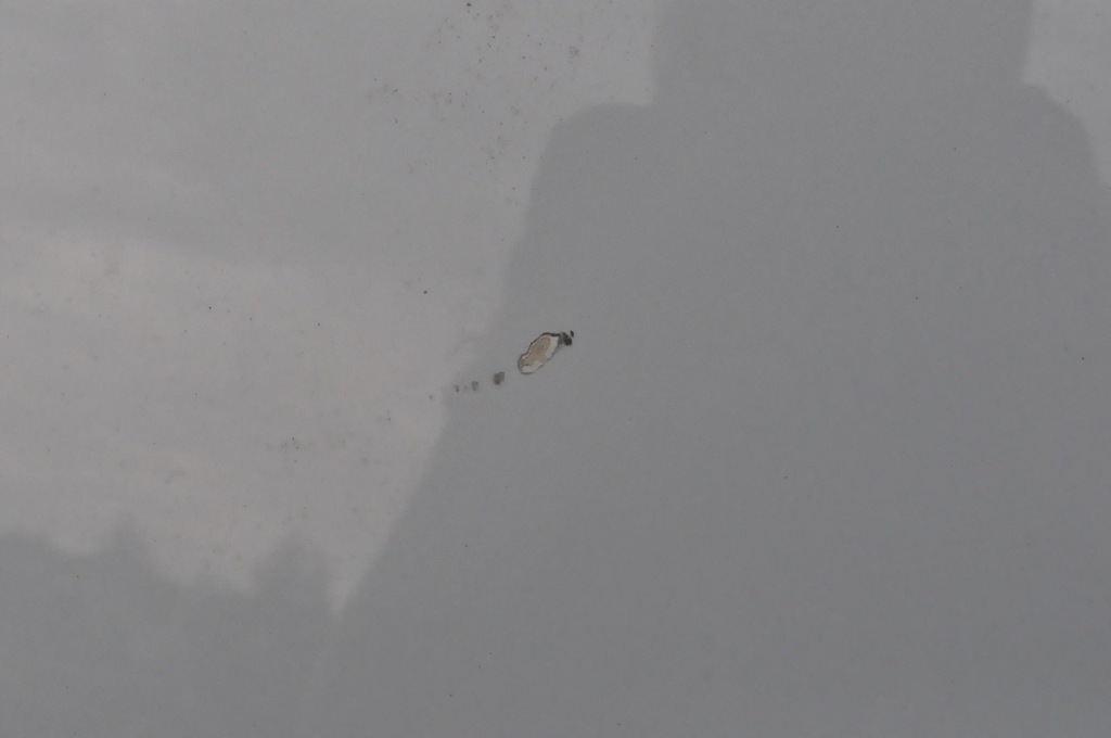 фото №6, Bmw i4 g26 капот кришка відсік двигуна