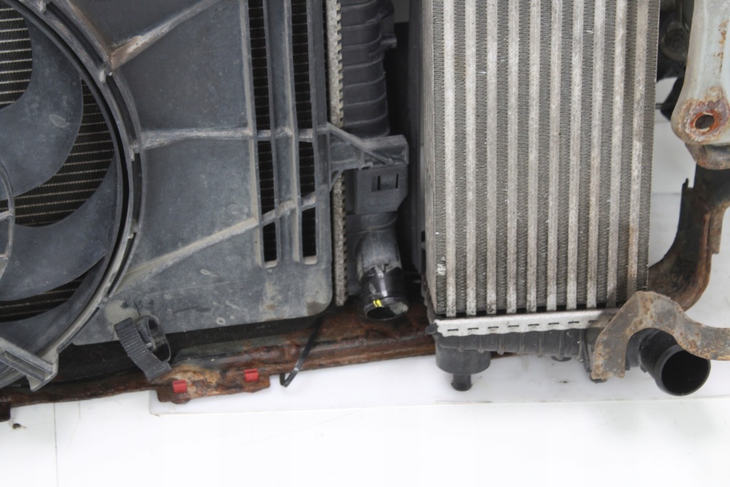 Купить Ремень перед передний ford focus mk3 10-14r 1.6 tdci