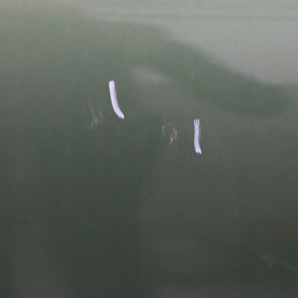 фото №10, Mini r60 countryman дверь правое задние jungle green металлик - c15