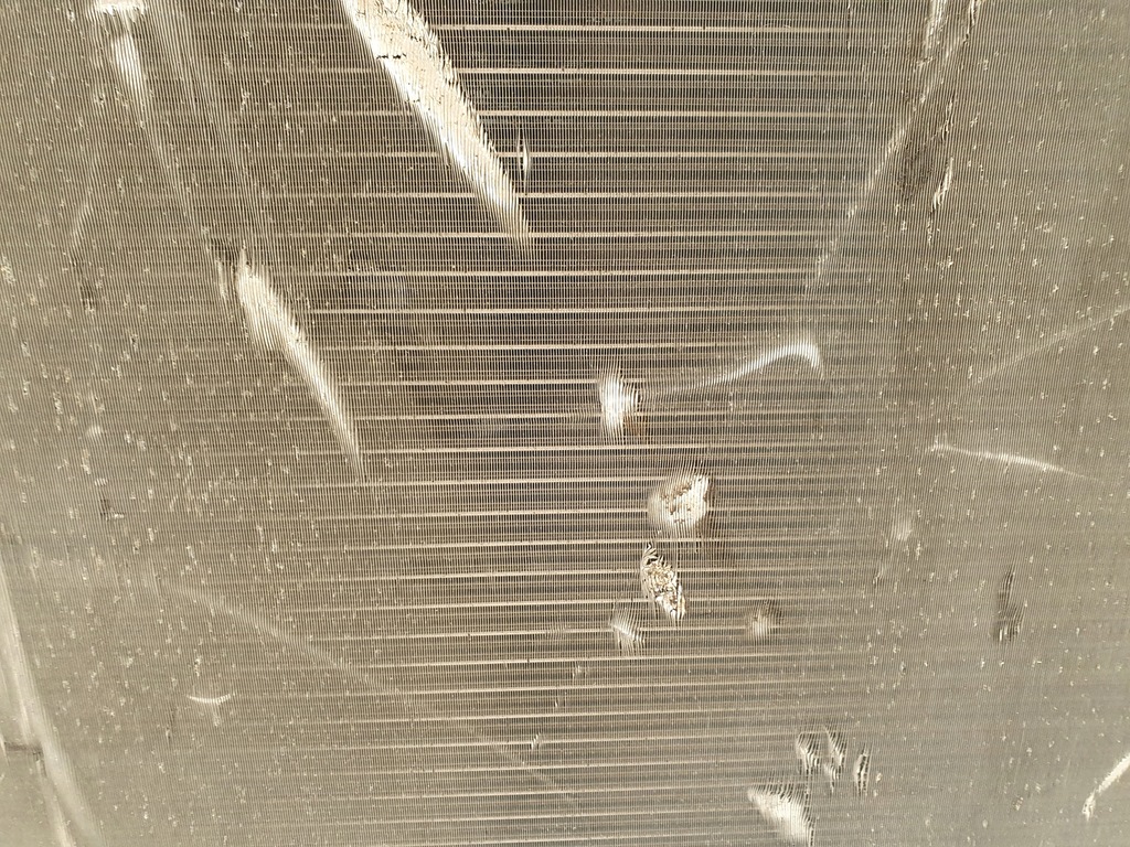 фото №7, Радіатор wody mercedes e-klasa w211 a2115002202