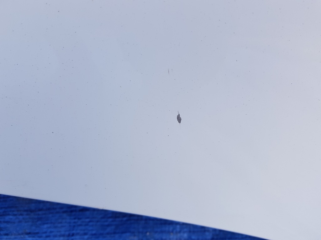 фото №14, Капот кришка двигуна mercedes w207 c149 149 lift