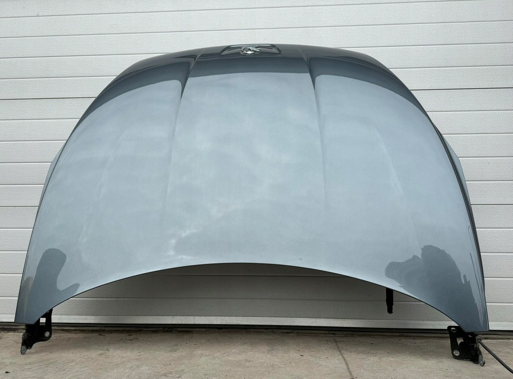 фото №1, Капот peugeot 508 i kthb