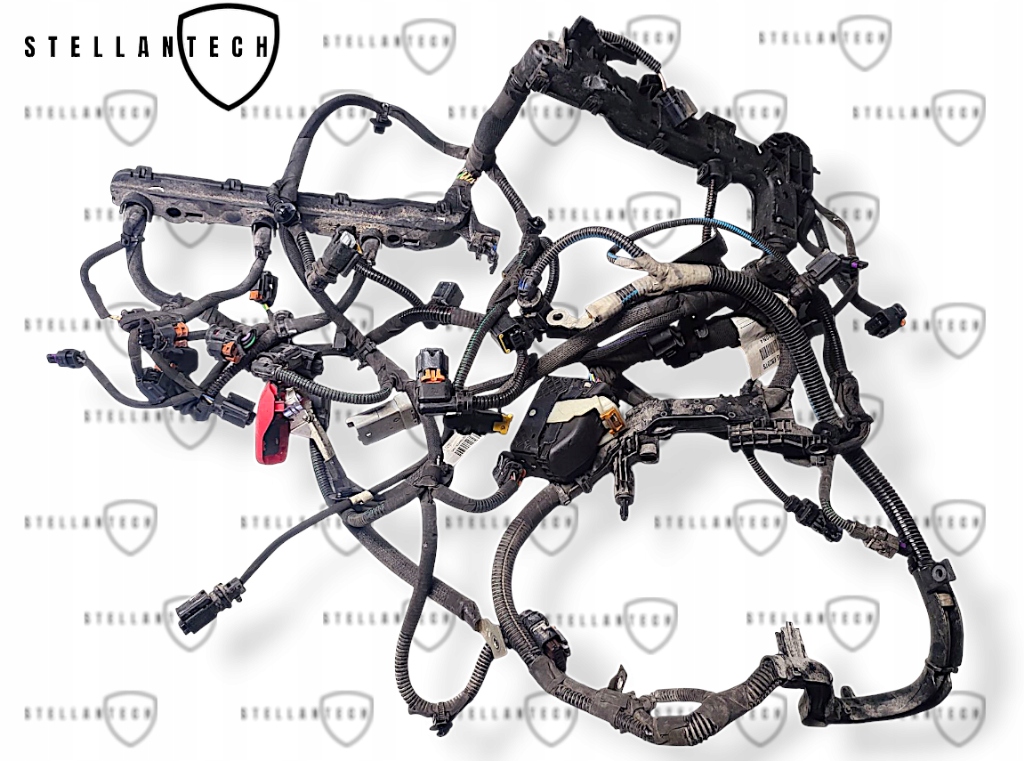 фото №1, Джгут двигуна оригінальний номер 9807341880