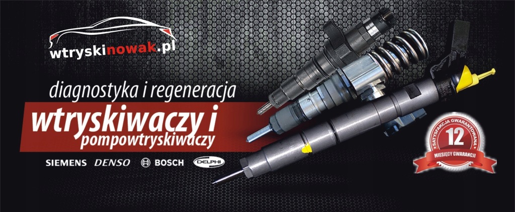 Форсунка інжектор man scania daf iveco mercedes renault відновлення Доставка