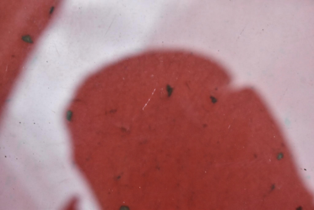 Скло бічна ліва перед передня tesla model y 20- Зі Шроту