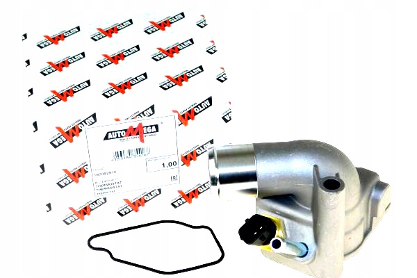 фото №1, Automega термостат w корпус