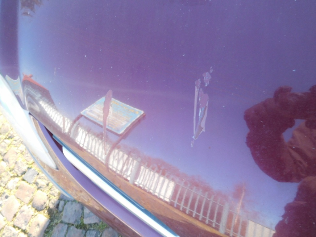 фото №6, Капот almera tino 2004 цвет a31