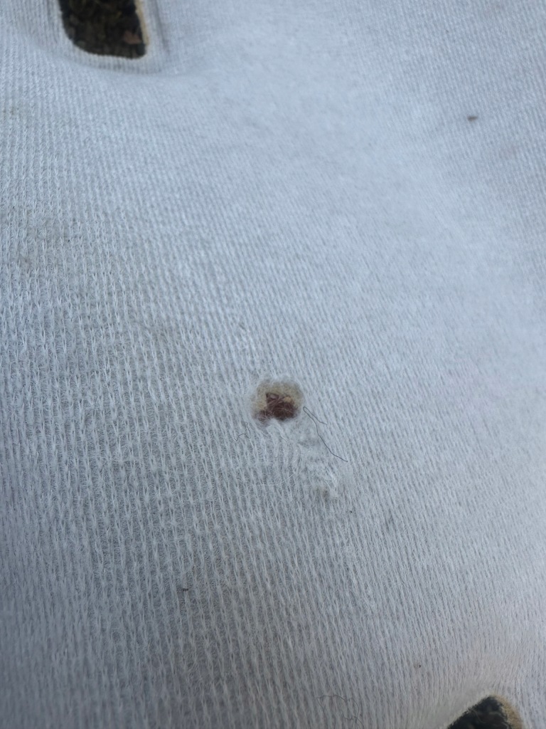 Scudo jumpy expert ii 07-14 long пасажирський стеля стеля Київ