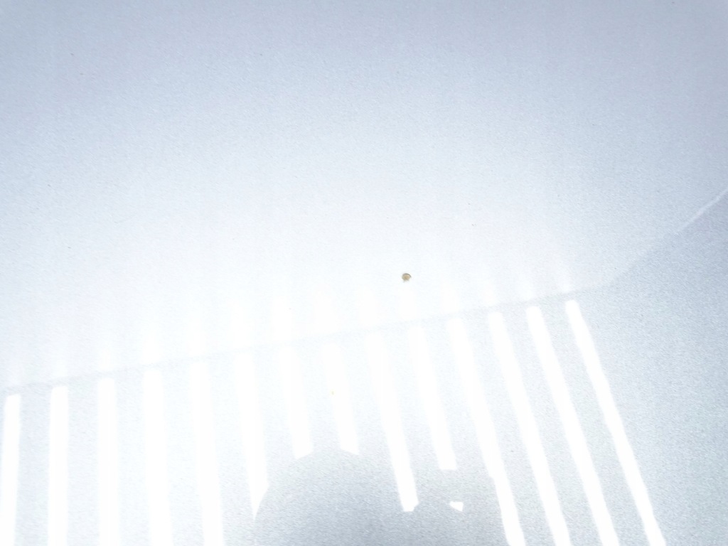 фото №11, Капот крышка двигателя vw passat b7 3aa kombi lc7z