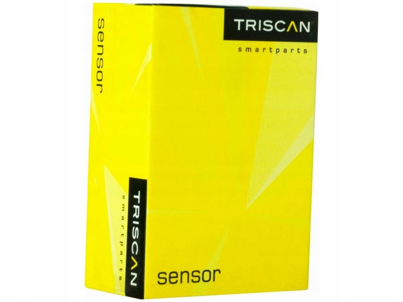 фото №1, Рессора задняя triscan 8765 43004