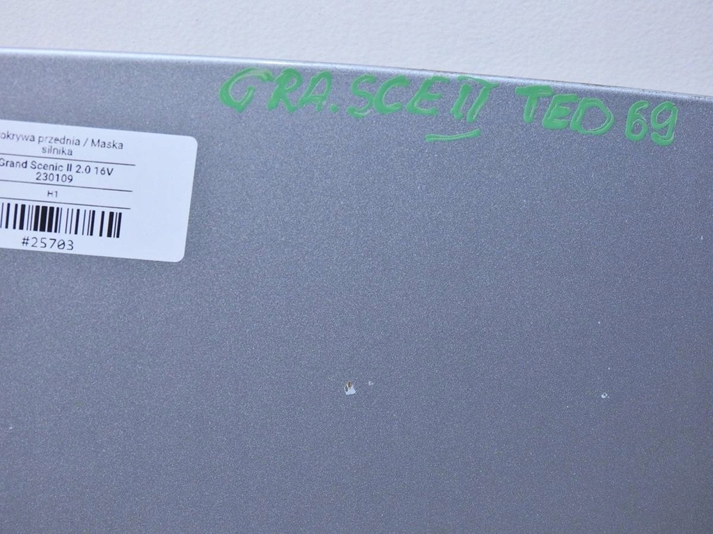 фото №5, Капот ted69 renault scenic ii