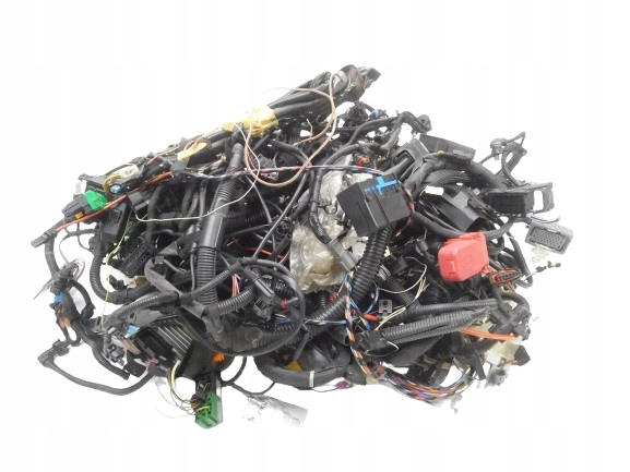 фото №1, Набір wiązek електричних + модулів gm