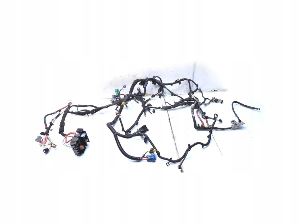 фото №1, Джгут електропроводка двигуна renault laguna iii 2.0 dci 240116865r