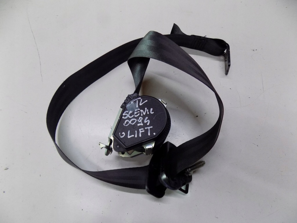 фото №1, Renault scenic iii lift pas лівий задня 888410017r