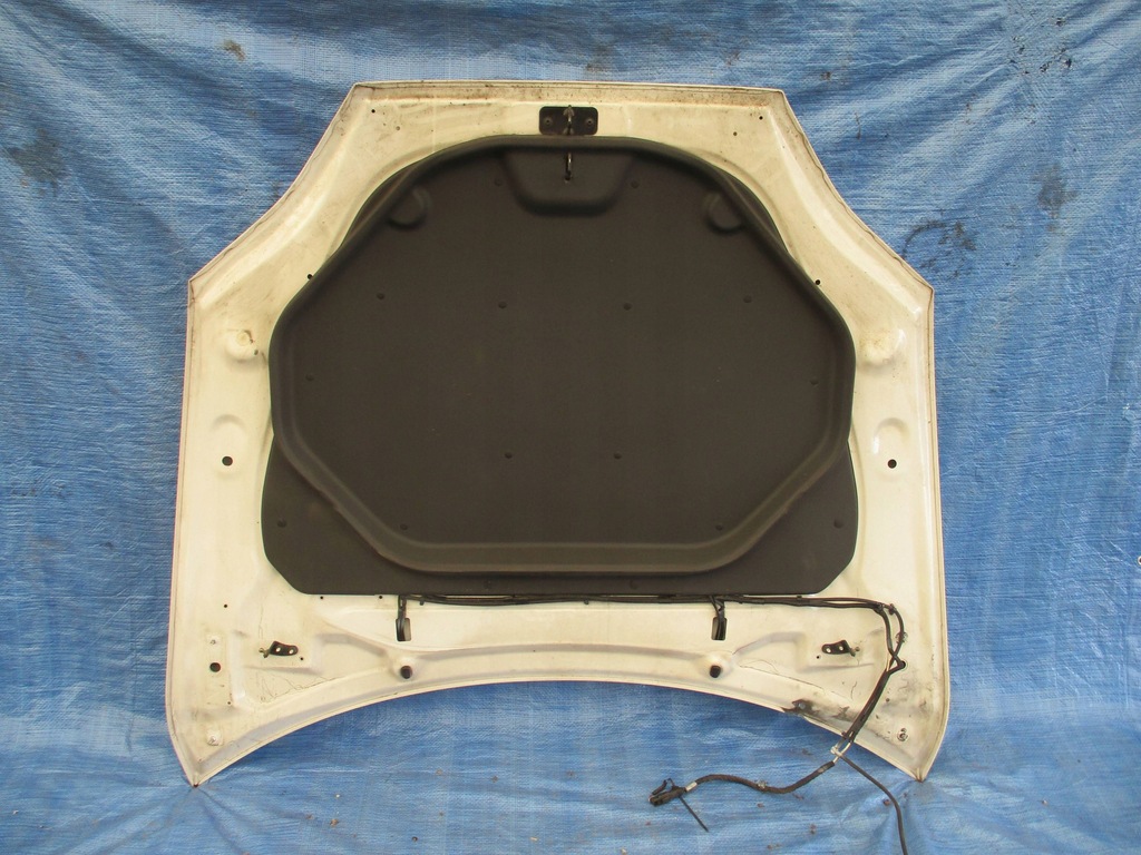 фото №11, Капот tesla s model s колір ppsw