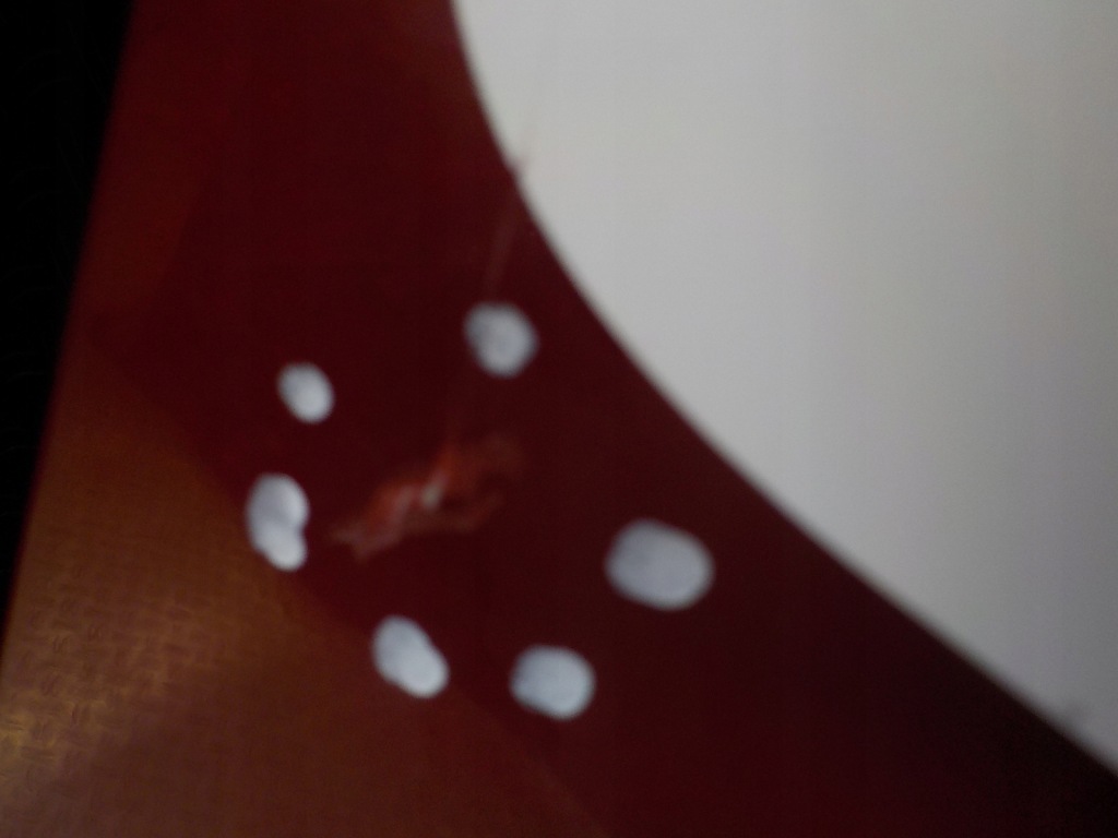 фото №5, Transit mk7 06-14 дверь задняя комплект