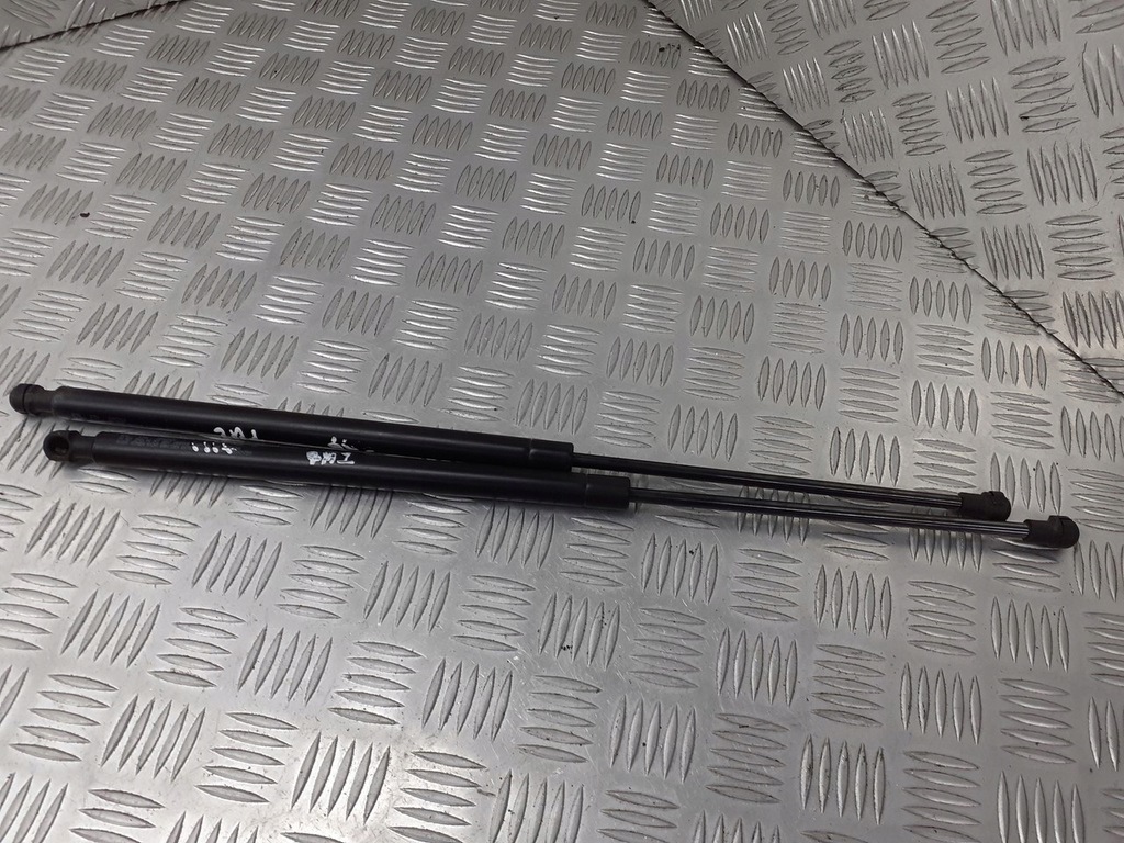 фото №1, Амортизатори кришки задня nissan primera p12 1.9 dci