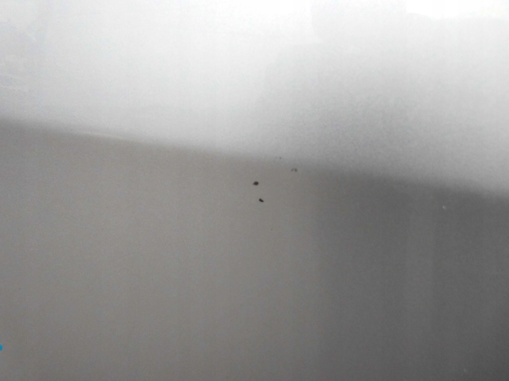 фото №10, Двері seat leon ii 1p ліва передні сріблястий ls7y