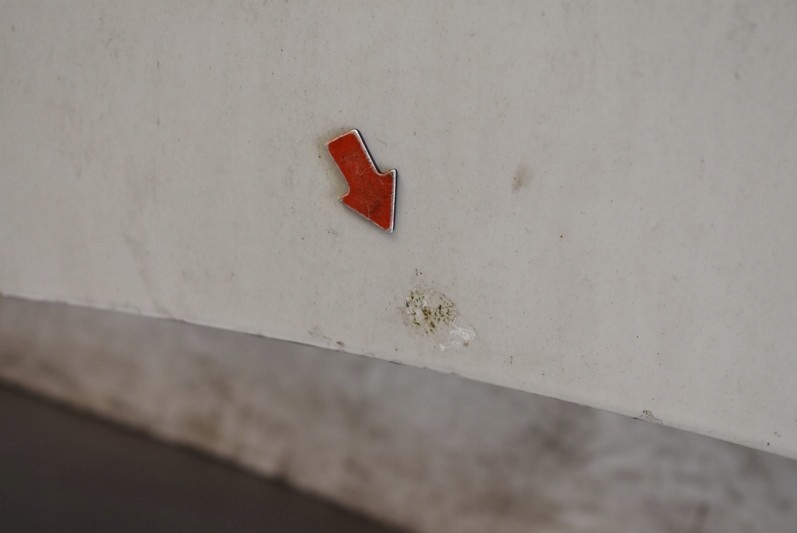 фото №5, Капот крышка двигателя белый nissan murano z50 03-08