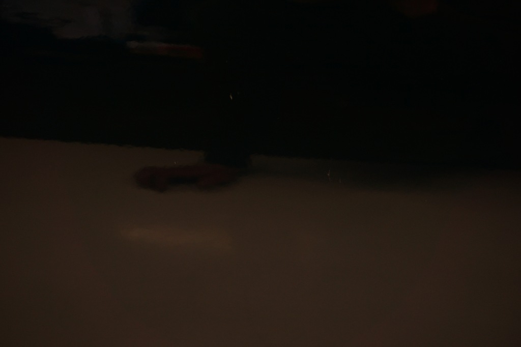 фото №7, Bmw x1 e84 двері правий перед передні b38