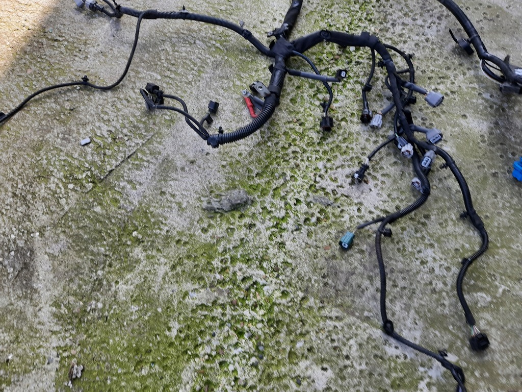 фото №8, Dacia sandero ii 0.9 tce джгут електропроводка двигуна