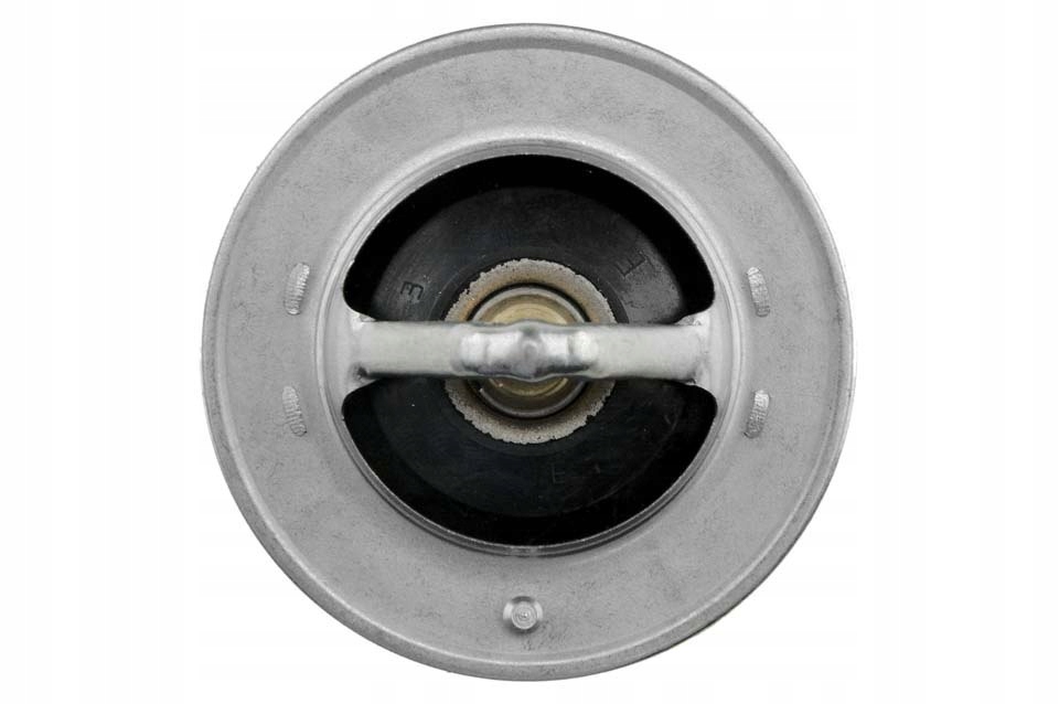 фото №8, Термостат