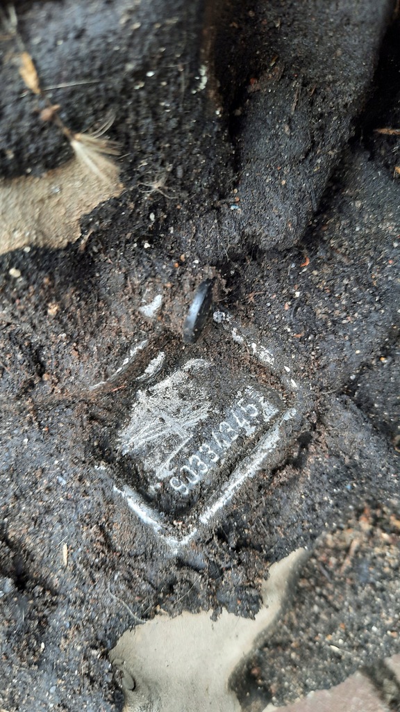 фото №5, Коробка передач передач 90334345 opel corsa b 1.2b