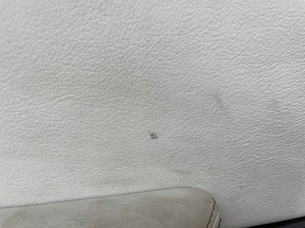 фото №7, Оббивка оббивка салон bmw x5 f15