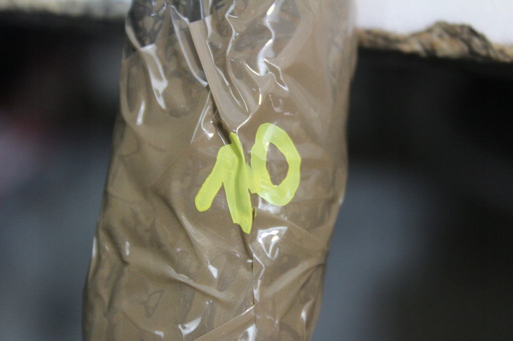 фото №5, Молдинг na крыло левый задняя mini cooper f56 nowa оригинальный номер 258949-10