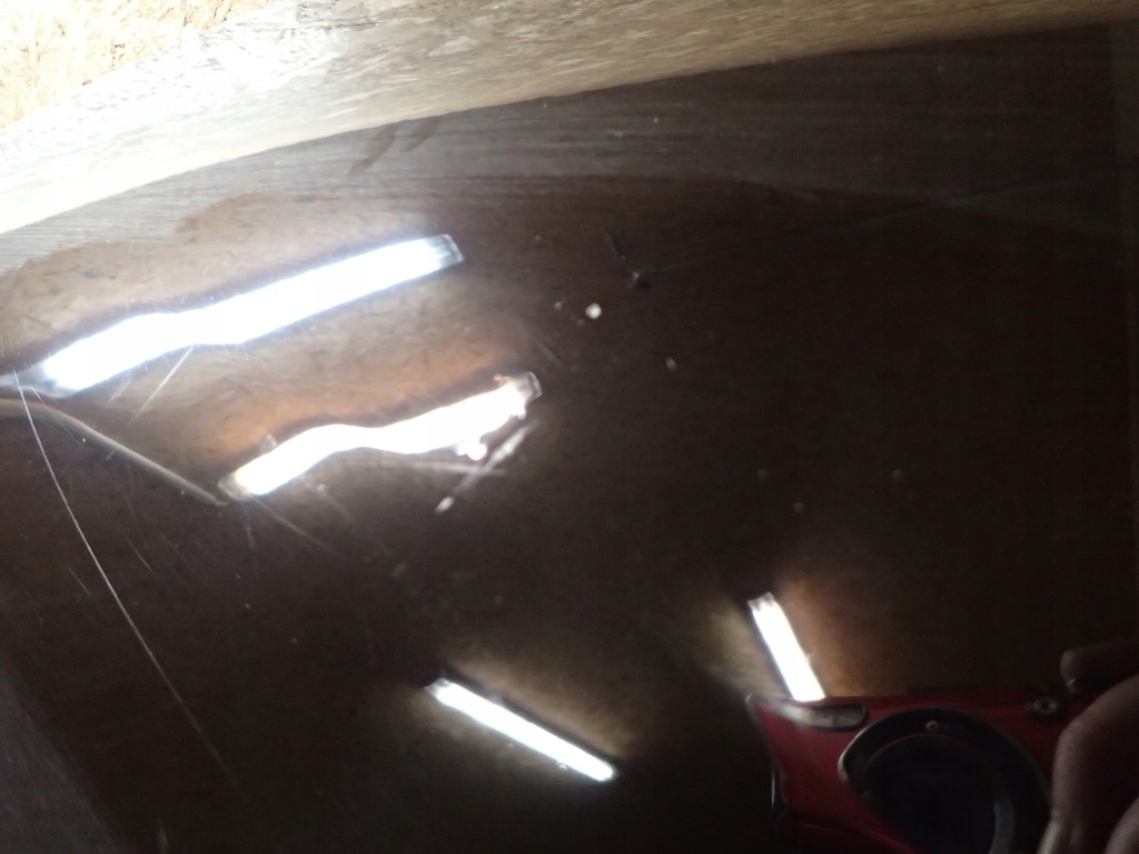 фото №5, Капот bmw i 1 f40