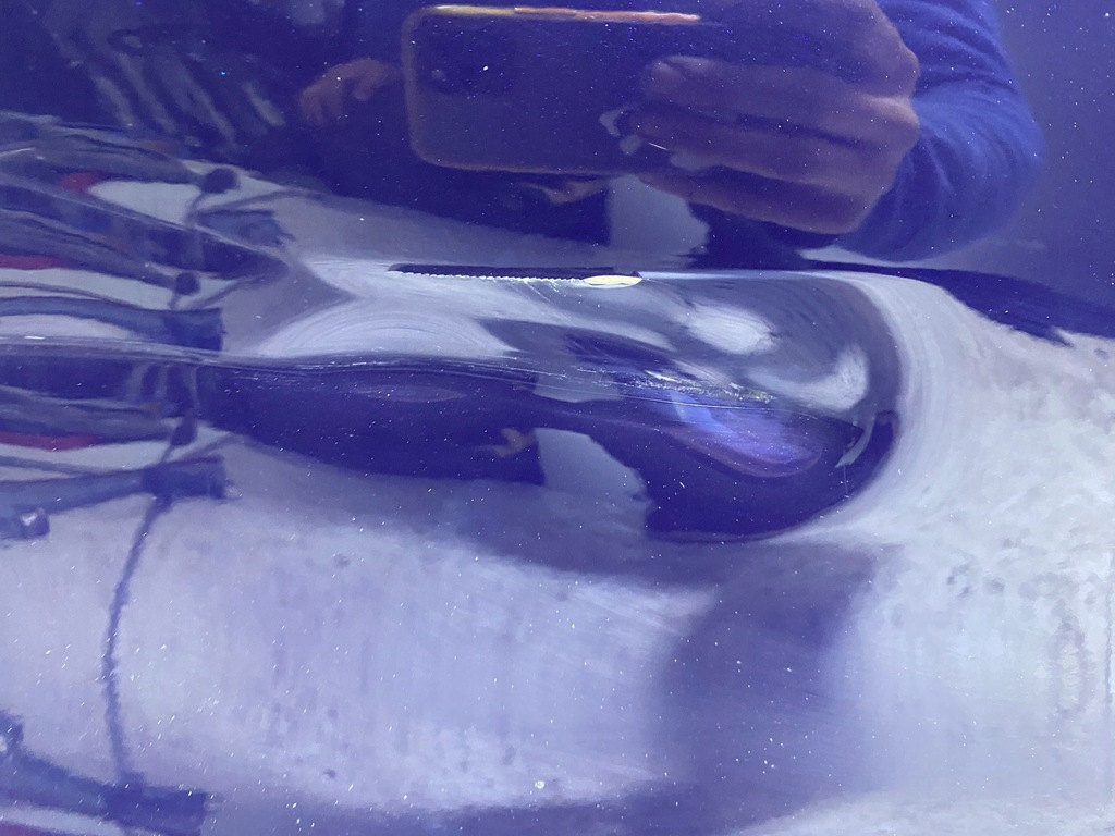 фото №6, Двері правий перед maserati quattroporte vi