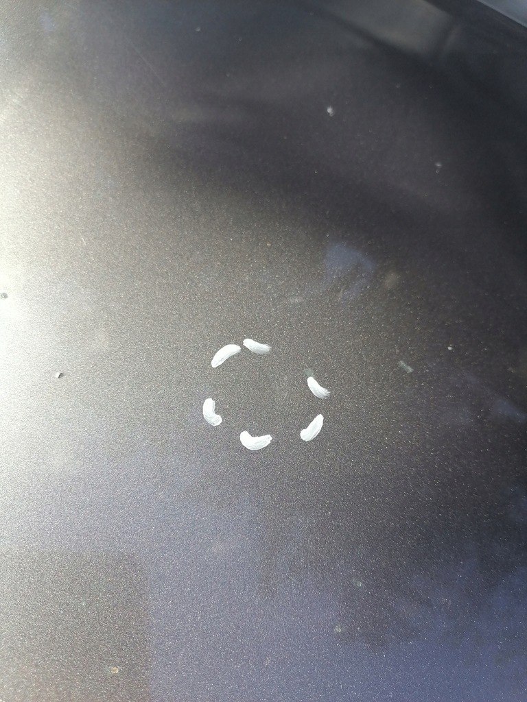 фото №9, Капот renault scenic ii tec68