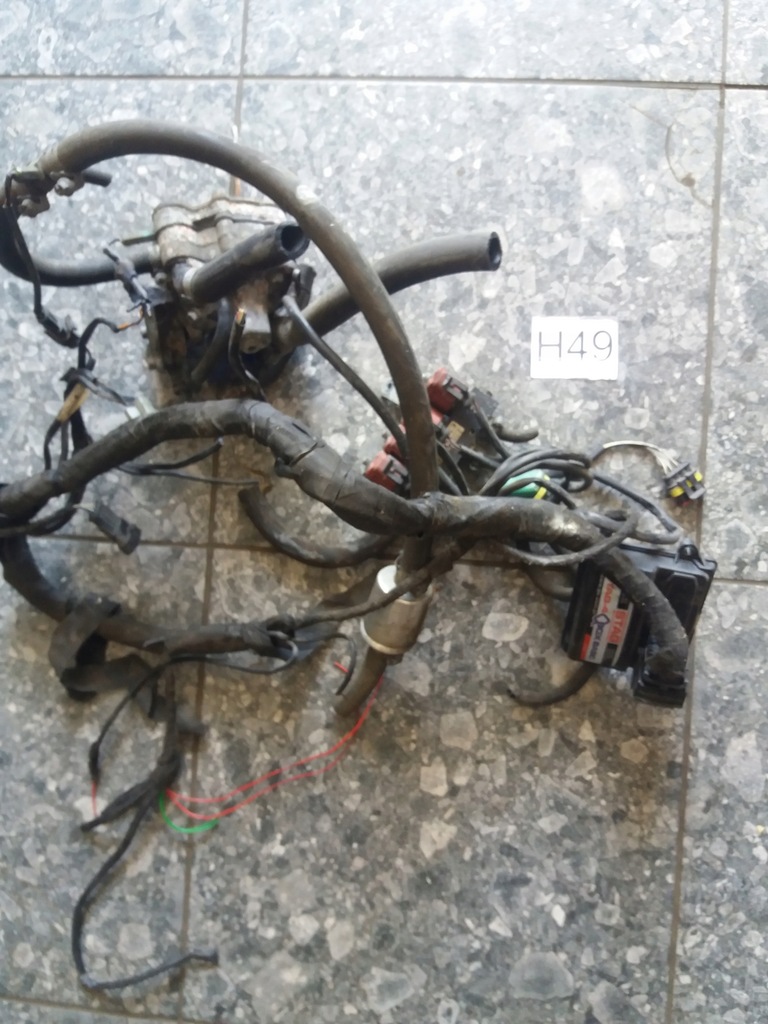 фото №1, Электропроводка газовая stag-4 box basic 67r-01 4903