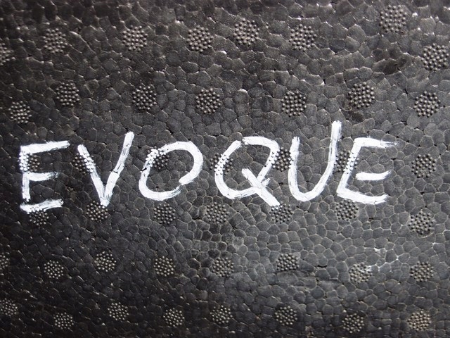 фото №8, Вкладыш багажника land rover evoque