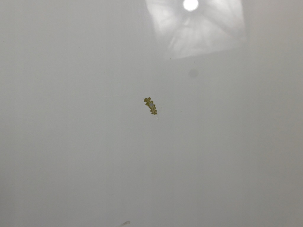 фото №7, Audi q7 4m двері праве задня задні ls9r білий