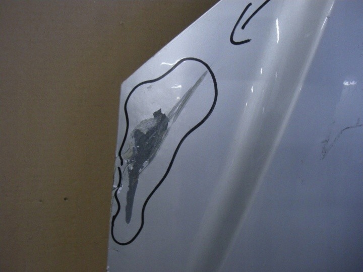 Mercedes sprinter 2006 капот перед Доставка