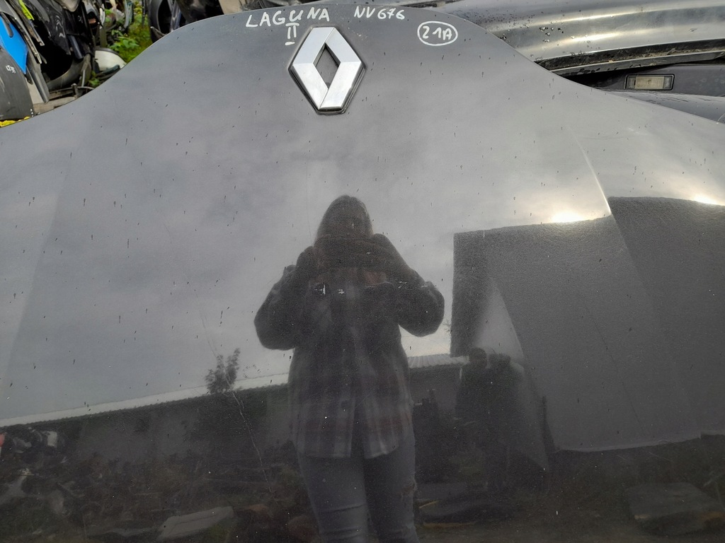 фото №9, Renault laguna ii капот кришка двигуна nv676