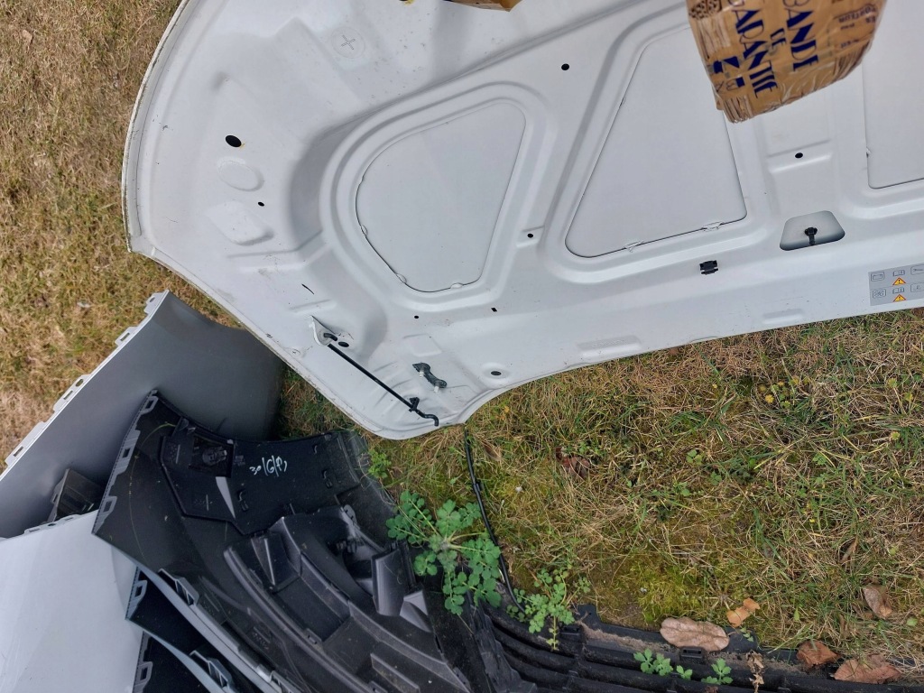 Капот перед dacia spring 651207750r 21-24 Зі Шроту