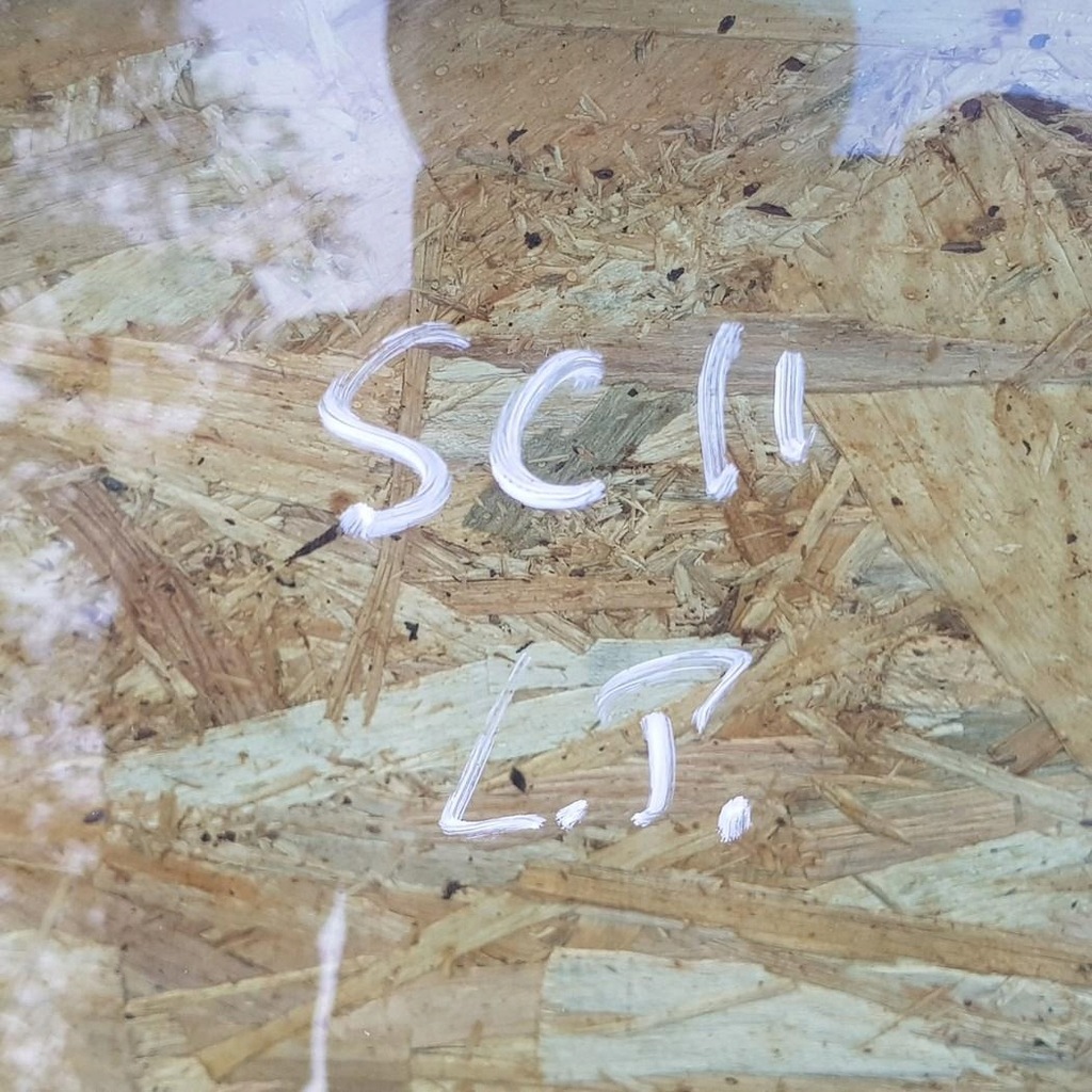 фото №3, Двері лівий перед renault scenic ii