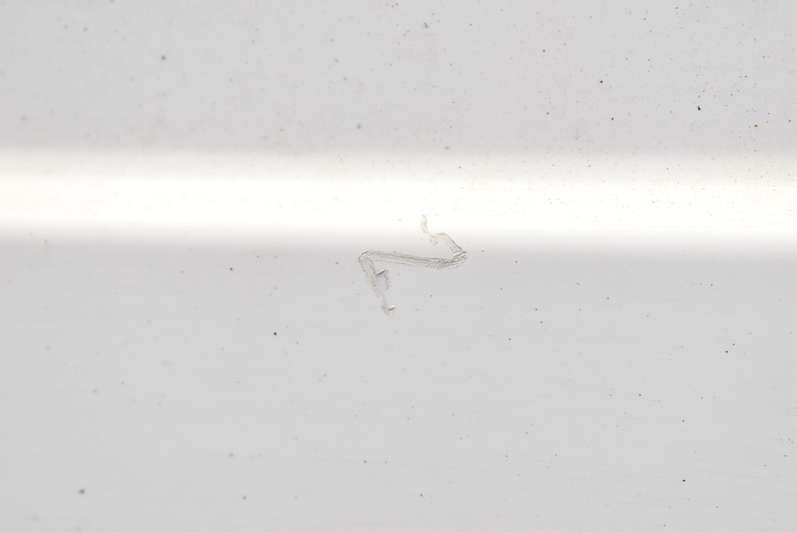 фото №7, Двері задні праве крило білий renault kangoo 2 ii 07-13