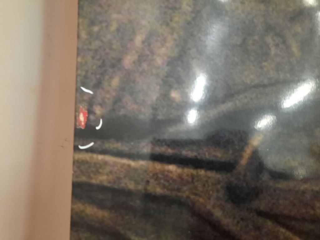 фото №11, Scania r 04- двері перед правий передні праве 2045018