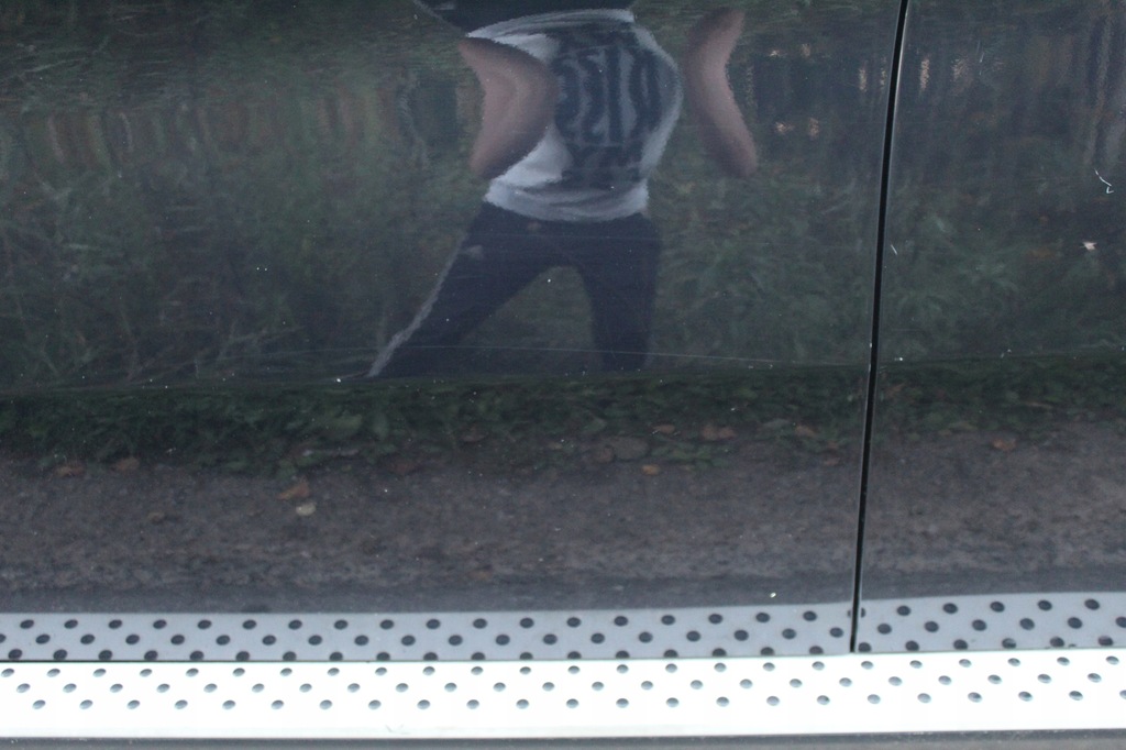 фото №5, Двері перед ліва bmw x6 e71 a35 monacoblau