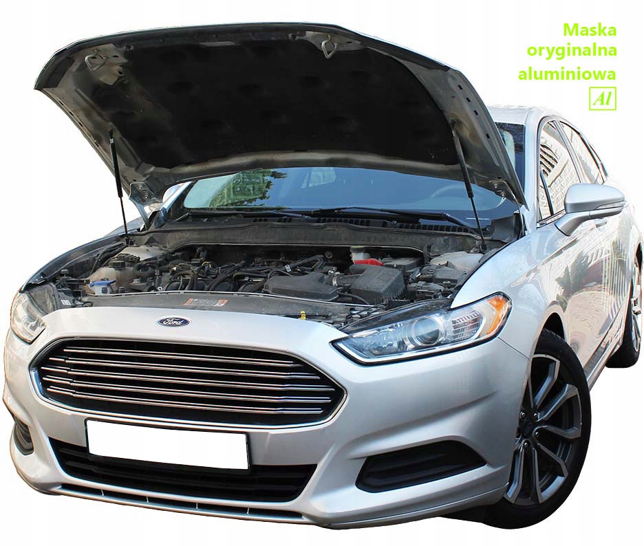 фото №1, Пружины амортизаторы капот крышки ford fusion usa v