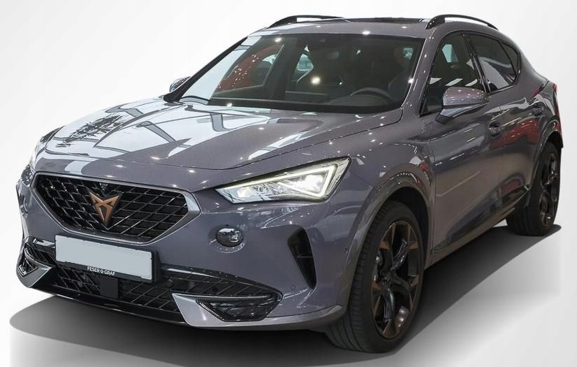 фото №1, Четверть крыло крыша панорама задняя cupra formentor кузов кузов кузов