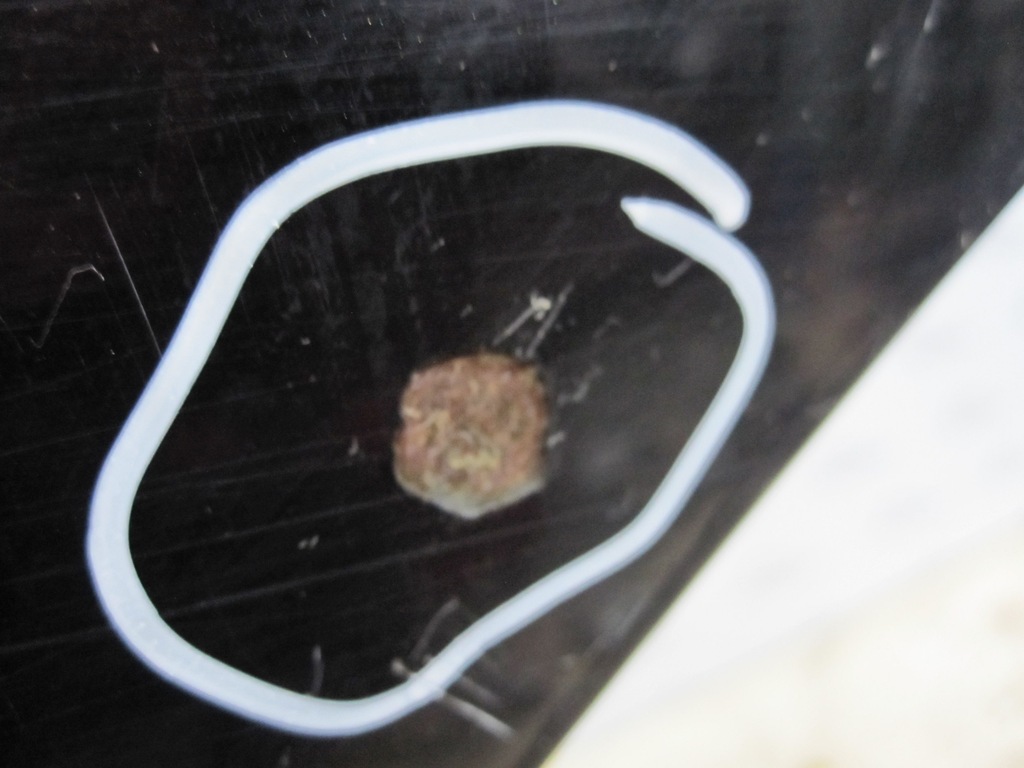 фото №8, Land rover freelander ii 06r дверь левая задняя