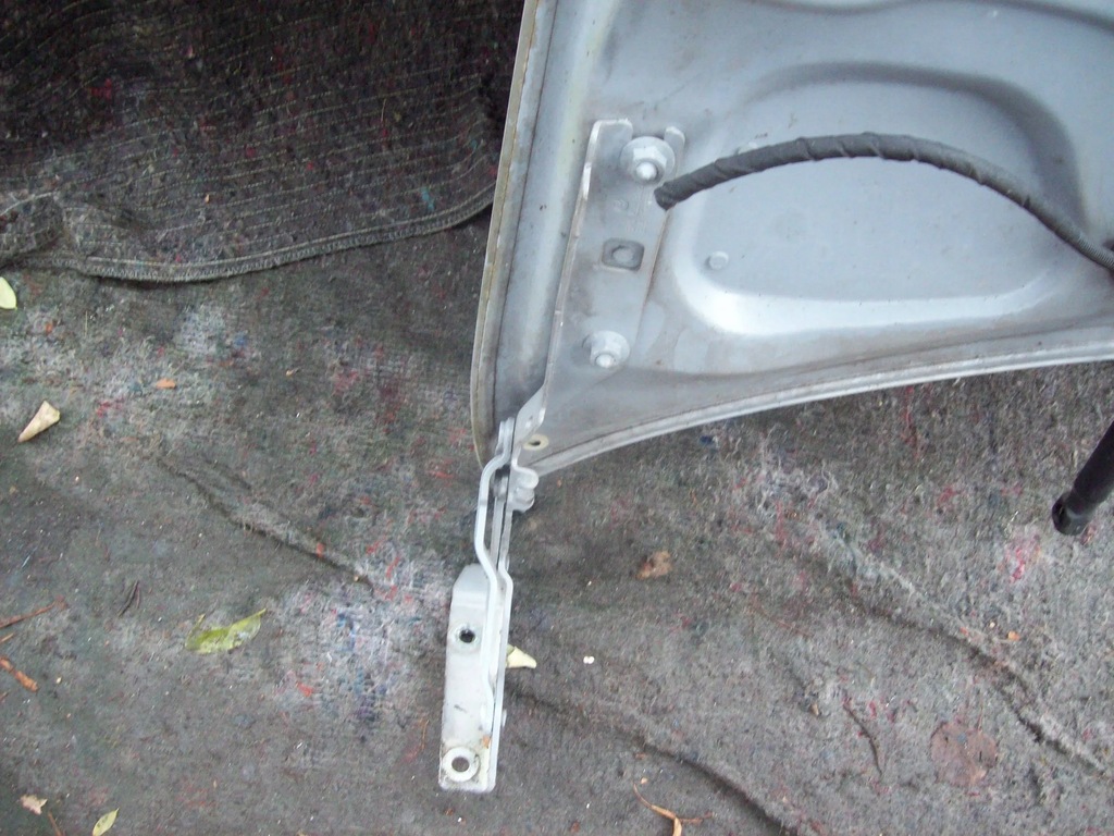 фото №9, Volkswagen golf vi 2009 капот шумоізоляція петлі la7w