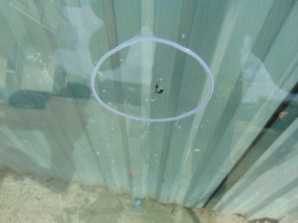 фото №11, Стекло лобовое подогрев ford s-max mk1