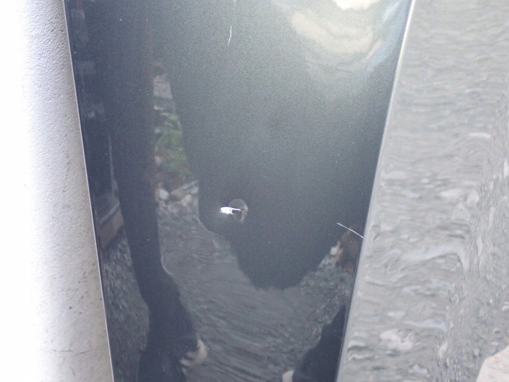 Капот крышка двигателя skoda octavia 4 iv nx3 nx5 2020- с Разборки