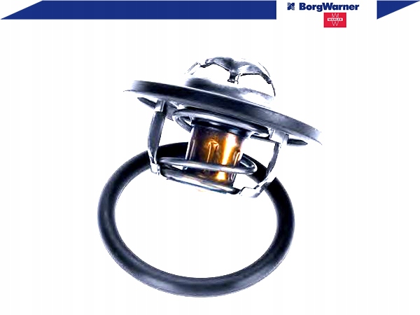 фото №3, Wahler 3470.89d50 термостат, середина охолоджуючий